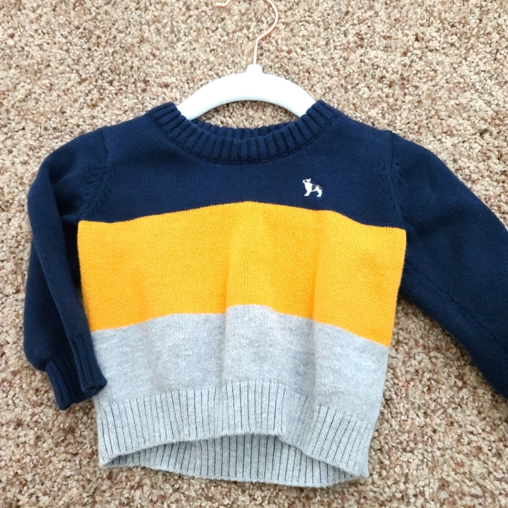 Janie and Jack sweater